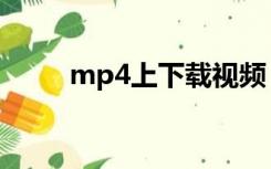 mp4上下载视频（视频mp4下载）