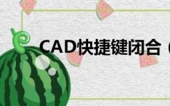 CAD快捷键闭合（cad闭合快捷键）