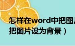 怎样在word中把图片设为背景（word怎么把图片设为背景）