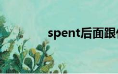 spent后面跟什么（spent）