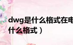 dwg是什么格式在电脑上怎么打开（dwg是什么格式）