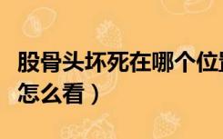 股骨头坏死在哪个位置图片（股骨头坏死图片怎么看）