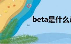 beta是什么意思（beta）