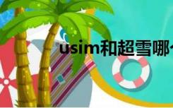 usim和超雪哪个好用（usim）