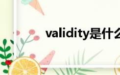 validity是什么意思（valid）