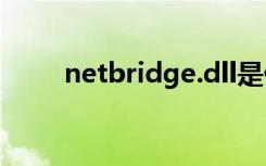 netbridge.dll是什么（dll是什么）