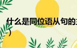 什么是同位语从句的主语（什么是同位语从句）