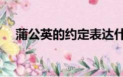 蒲公英的约定表达什么（蒲公英的约定）