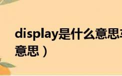 display是什么意思车上的（display是什么意思）