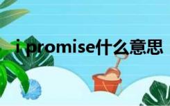 i promise什么意思（promise什么意思）