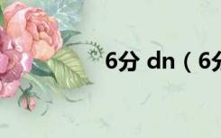 6分 dn（6分是dn多少）