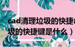 cad清理垃圾的快捷命令（请问cad中清理垃圾的快捷键是什么）