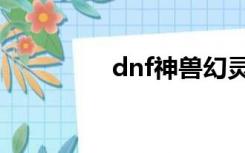 dnf神兽幻灵（dnf幻灵）