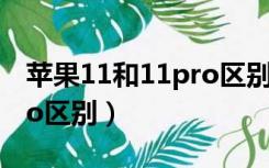 苹果11和11pro区别哪个贵（苹果11和11pro区别）