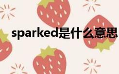 sparked是什么意思（spark是什么意思）