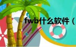 fwb什么软件（fw是什么软件）