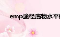 emp途径底物水平磷酸化（emp途径）