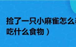 捡了一只小麻雀怎么养?吃什么?（捡到小麻雀吃什么食物）