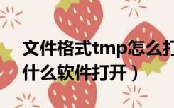 文件格式tmp怎么打开（tmp格式的文件用什么软件打开）