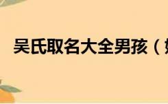 吴氏取名大全男孩（姓吴的男孩名字大全）