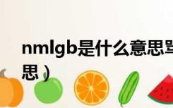 nmlgb是什么意思骂人（NMLGB是什么意思）