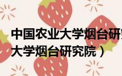 中国农业大学烟台研究院是985吗（中国农业大学烟台研究院）