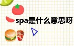 spa是什么意思呀（spa是什么意思）