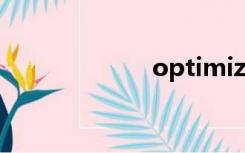 optimize（opt）