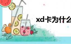 xd卡为什么贵（xd卡）