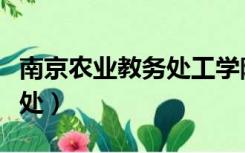 南京农业教务处工学院官网（南农工学院教务处）