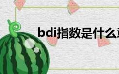 bdi指数是什么意思（bdi指数）