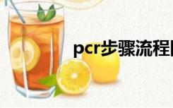 pcr步骤流程图（pcr步骤）