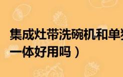 集成灶带洗碗机和单独洗碗机（集成灶洗碗机一体好用吗）