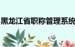 黑龙江省职称管理系统官网个人职称查询系统