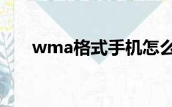 wma格式手机怎么播放（wma格式）