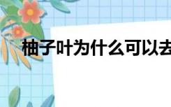 柚子叶为什么可以去晦气辟邪（柚子叶）