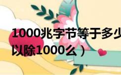 1000兆字节等于多少mb（字节换算成mb可以除1000么）