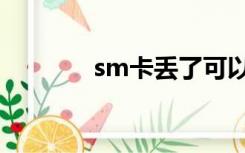 sm卡丢了可以补吗（sm卡）