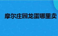 摩尔庄园龙蛋哪里卖（摩尔庄园龙蛋大全）