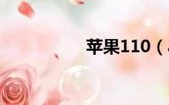 苹果110（apple110）