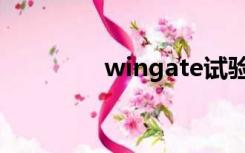 wingate试验（wingate）