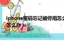 iphone密码忘记被停用怎么办（苹果手机忘记密码被停用怎么办）