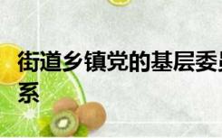 街道乡镇党的基层委员会和村社区党组织的关系