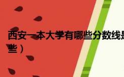 西安一本大学有哪些分数线是多少,文科（西安一本大学有哪些）