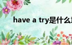 have a try是什么意思（have a try）