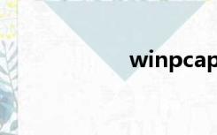 winpcap（winp）