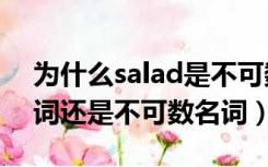 为什么salad是不可数名词（salad是可数名词还是不可数名词）