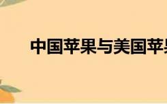 中国苹果与美国苹果官司（苹果官司）