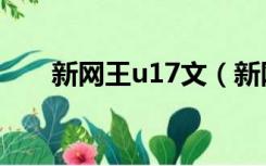 新网王u17文（新网王之u17的总受）