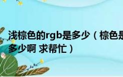 浅棕色的rgb是多少（棕色是什么颜色 在RGB里的数值各是多少啊 求帮忙）